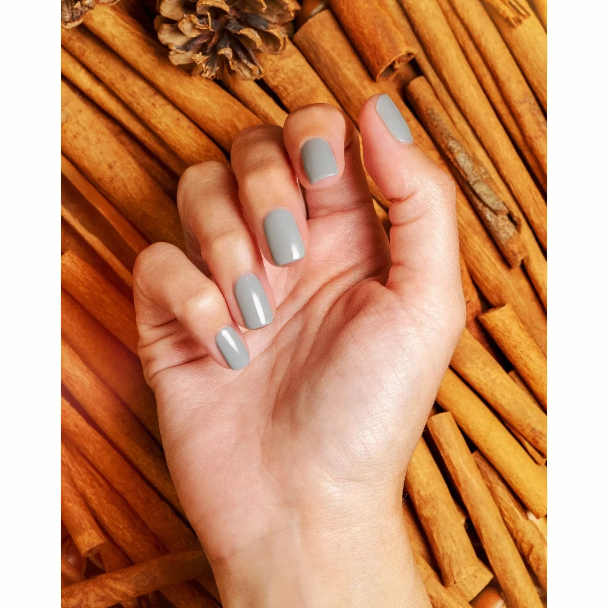 Morgan Taylor Nail Lacquer Cashmere Kind Of Gal 3110883