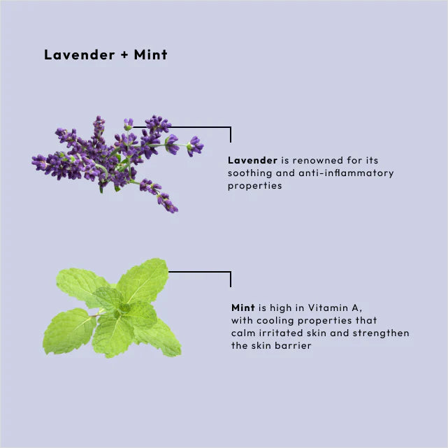 BCL SPA Lavender Mint Moisture Mask 128 oz