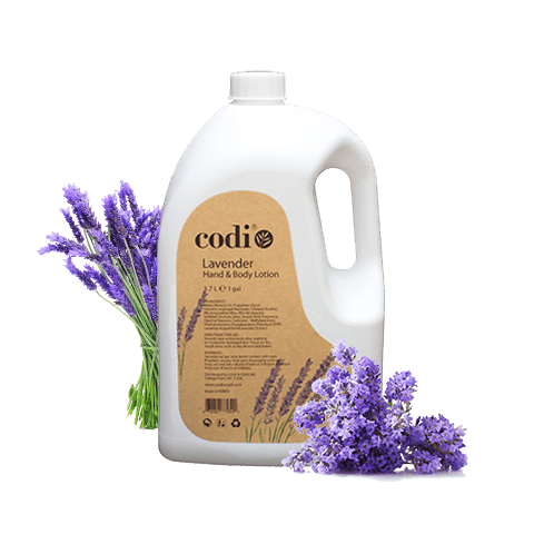 Codi Lavender Hand & Body Lotion 1 gallon